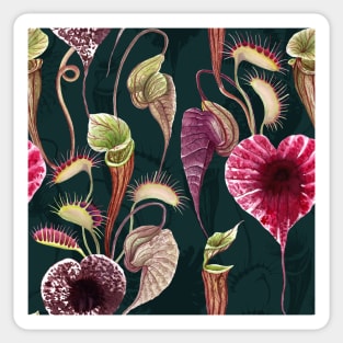 Carnivorous plants floral watercolor print. Pelican flower, Venus Flytrap. Exotic flowers botanical illustration. Sticker